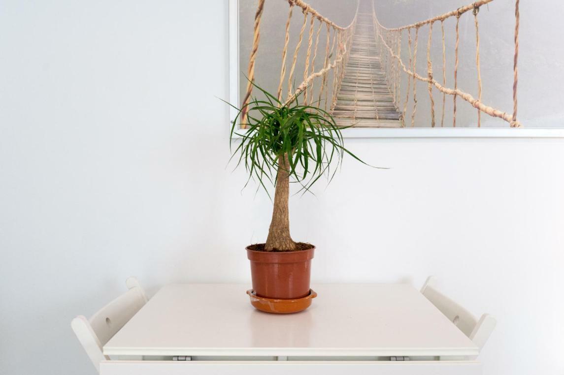 Ml1C-Prime Location Marble Apartment With Patios Malaga Ngoại thất bức ảnh