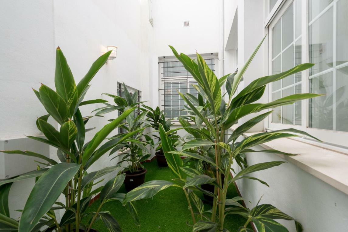 Ml1C-Prime Location Marble Apartment With Patios Malaga Ngoại thất bức ảnh